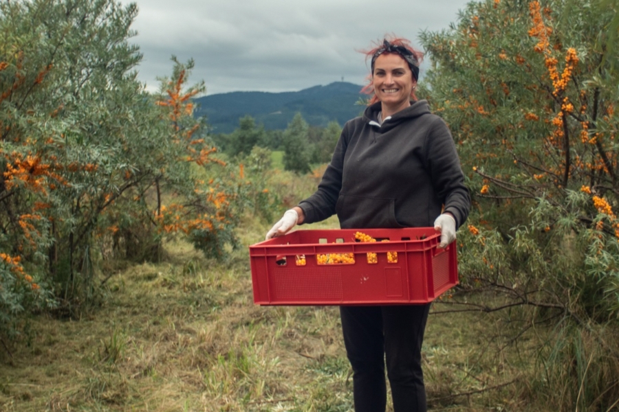 Slovenská výroba z oravských lúk